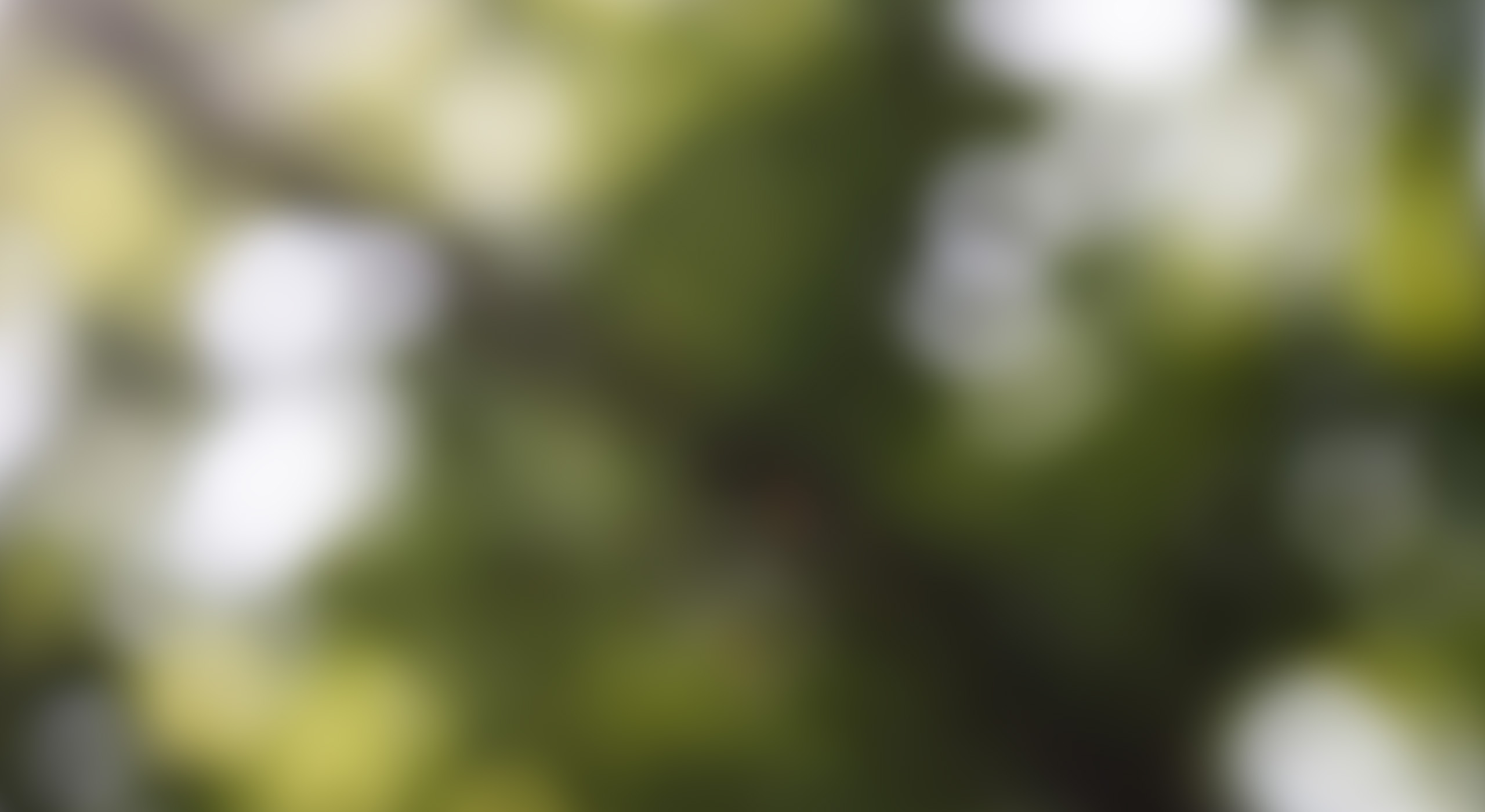 Radfahrer in der norddeutschen Weite