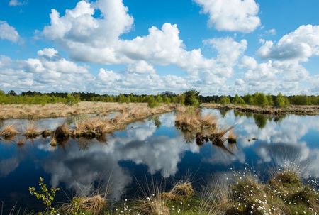 Landschaft Hahnenmoor