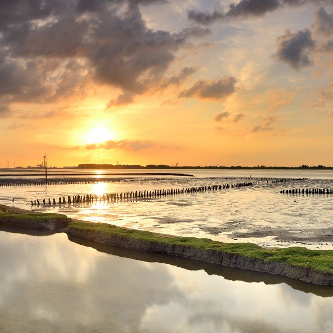 Nationalpark Niedersächsisches Wattenmeer