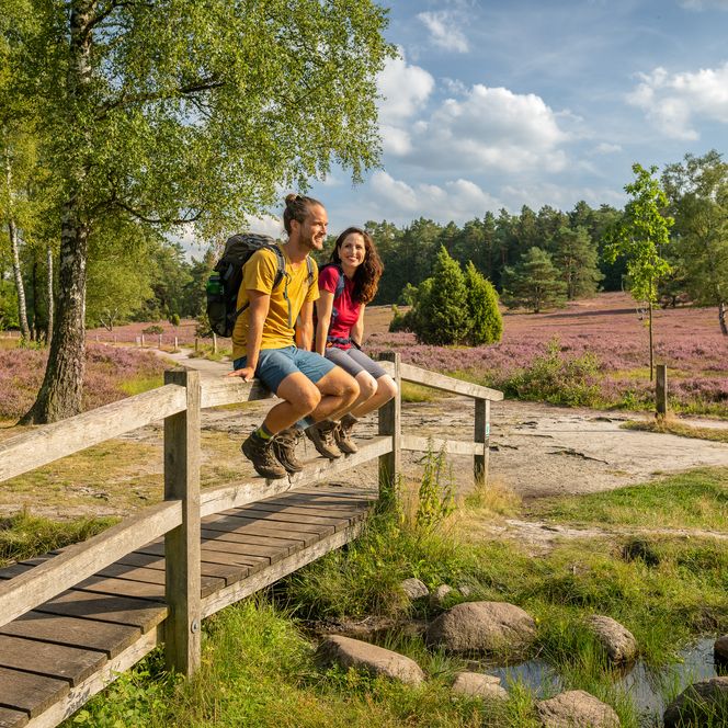 Vandresti med Brunsberg og Büsenbach-dalen