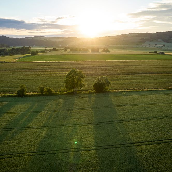 Landschaft im Weserbergland