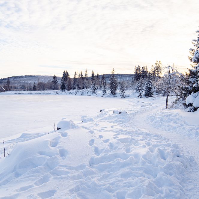 Winter am Oderteich im Harz 