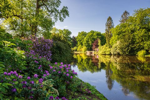 Teich im Schlossgarten