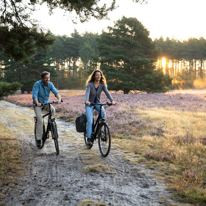 Zwei Radfahrer in der Lüneburger Heide