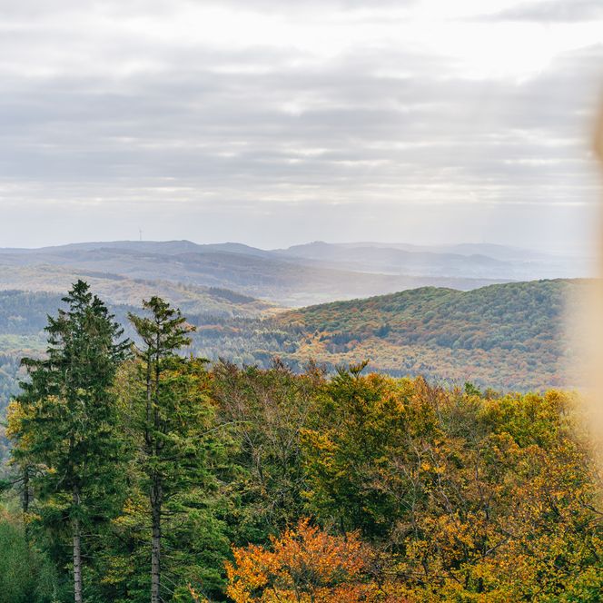 Aussichtspunkt im Natur- und Geopark Terra.vita