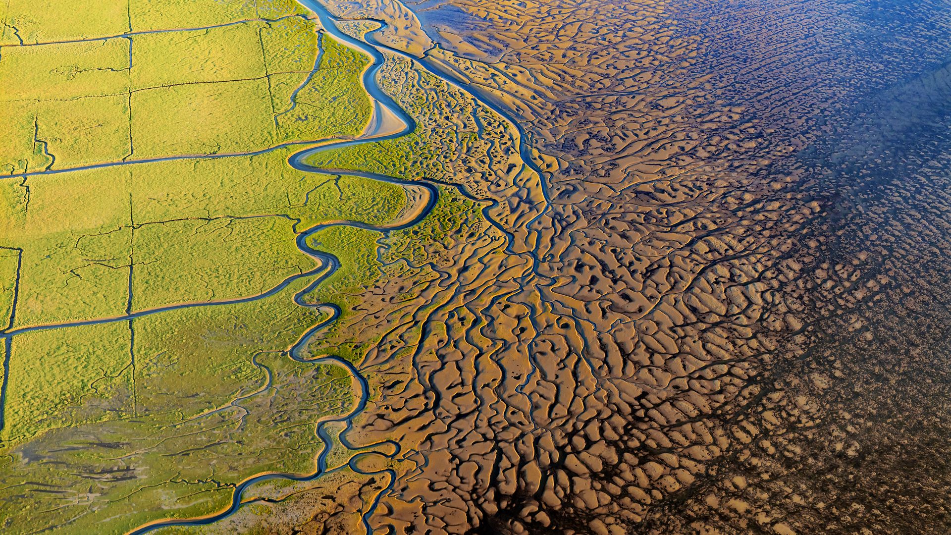 [Translate to dansk:] Wattenmeer aus der Vogelperspektive