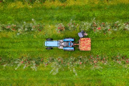Drohnenbild von einem Apfelhof im Alten Land