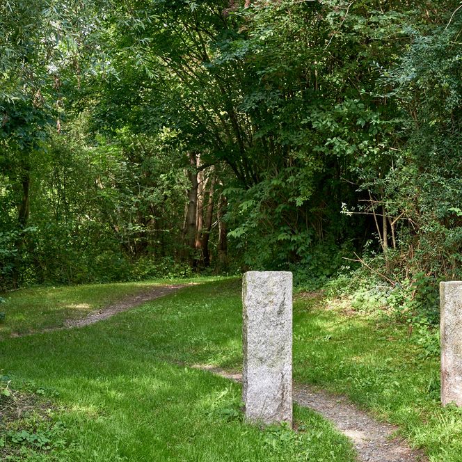 Salzgitter-Höhenzug_Achim Meurer_Nördliches Harzvorland