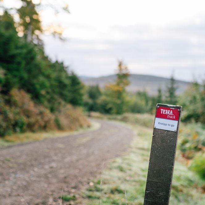 Terra.track