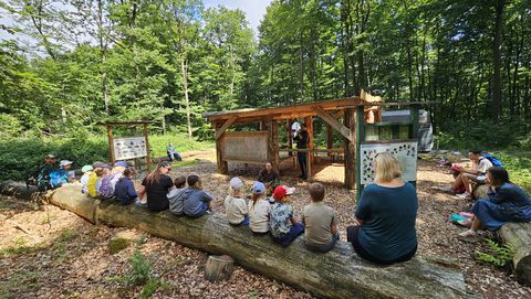 Skovaktivitet Fortællinger om Reineke Fuchs og Dachsi Badger på skovens kulturarvssti