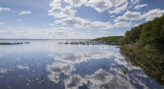 Udsigt over Steinhuder Meer, til højre sejlbåde ved fortøjningspladserne, © Naturpark Steinhuder Meer, Region Hannover/ Claus Kirsch