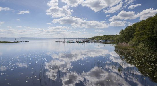 Udsigt over Steinhuder Meer, til højre sejlbåde ved fortøjningspladserne, © Naturpark Steinhuder Meer, Region Hannover/ Claus Kirsch