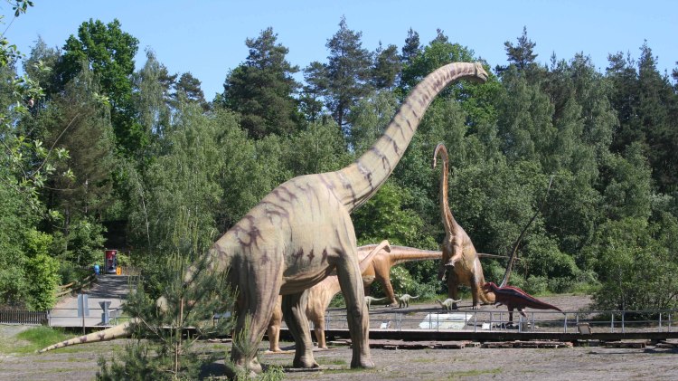 Indtryk Dinosaurier-Park Münchehagen, © Dinosaurier-Park Münchehagen GmbH & Co.KG