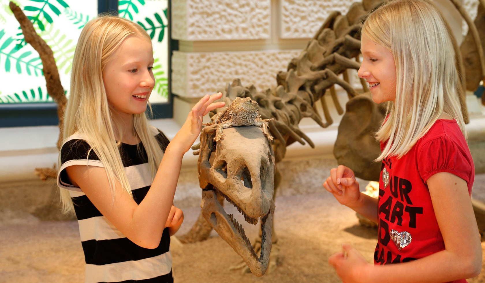 Besøg til NaturWelten, © Landesmuseum Hannover