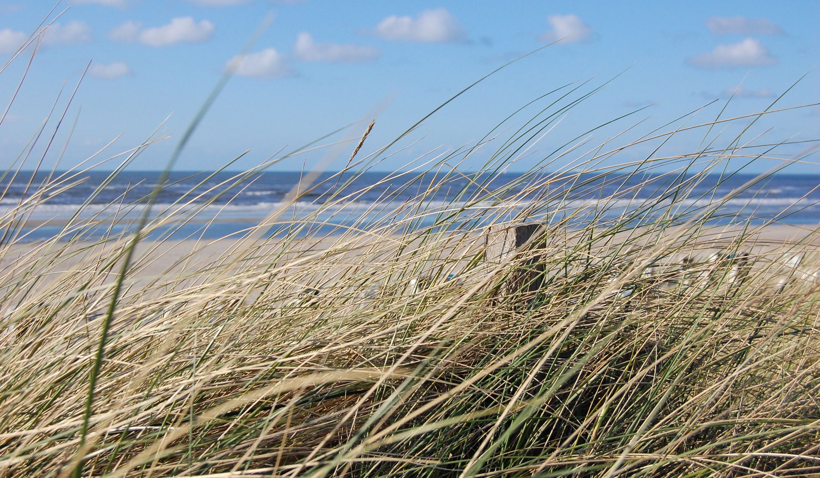 Spiekeroog, © Ostfriesland Tourismus GmbH / www.ostfriesland.de