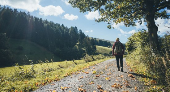 Vandring i Hellental i naturparken Solling-Vogler