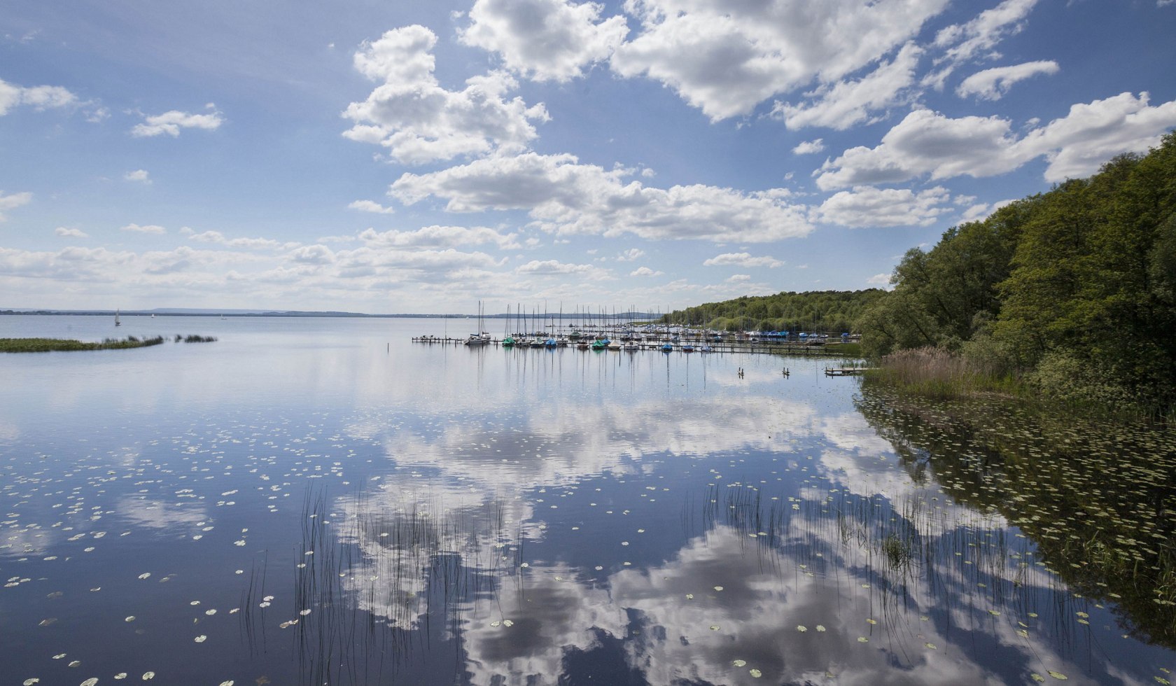 Udsigt over Steinhuder Meer, til højre sejlbåde ved fortøjningspladserne, © Naturpark Steinhuder Meer, Region Hannover/ Claus Kirsch