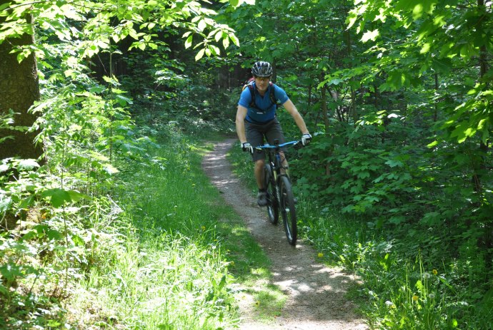 Mountainbikere i Solling-Vogler på vej, © Solling-Vogler-Region