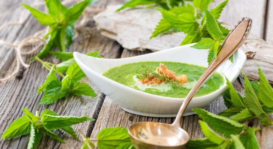 Brændenælde suppe pyntet med friske brændenælder, © Fotolia