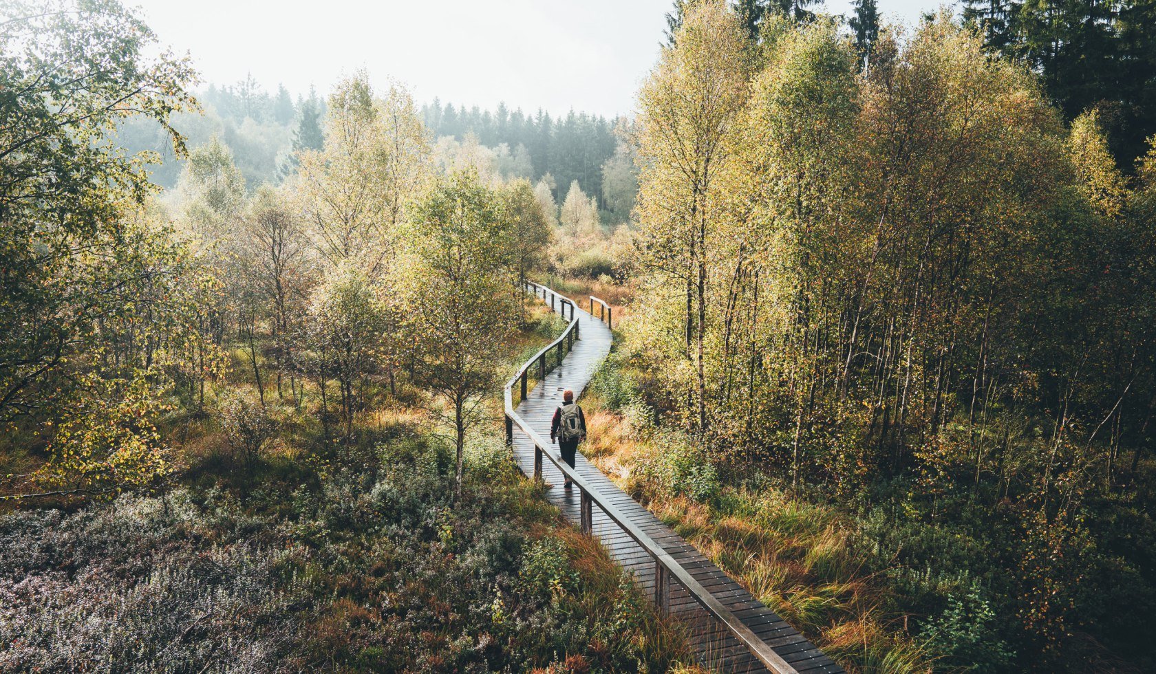 Vandrere i naturparken Solling Vogler i Weserbergland, © TourismusMarketing Niedersachsen GmbH / German Roamers / Johannes Becker