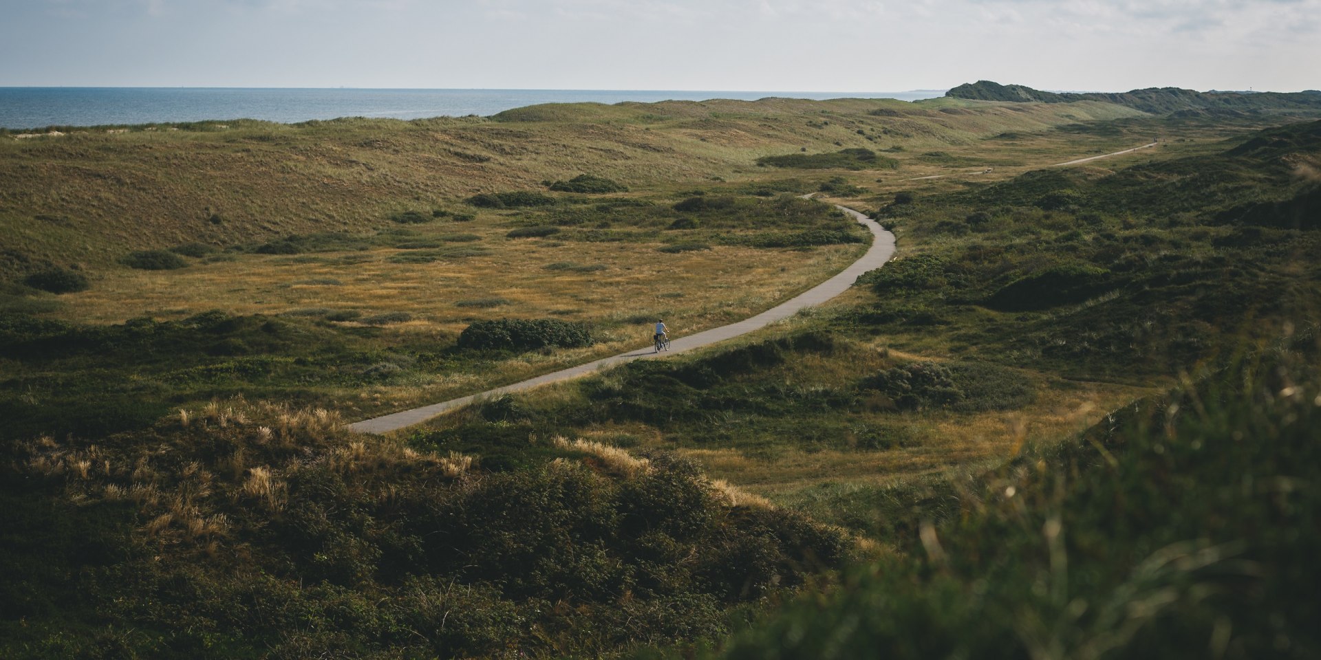 Cykelsti på Langeoog, © TMN / Max Fischer 