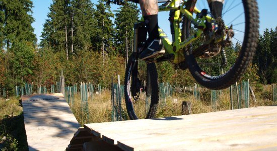 Driver på en træ rampe i Bikepark St. Andreasberg, © www.msb-x-trail.de