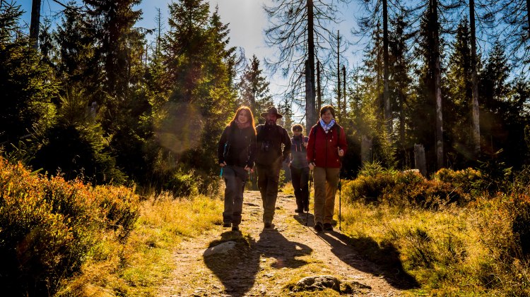 Ranger guidet tur, © Nationalpark Harz / dietrichkuehne.com