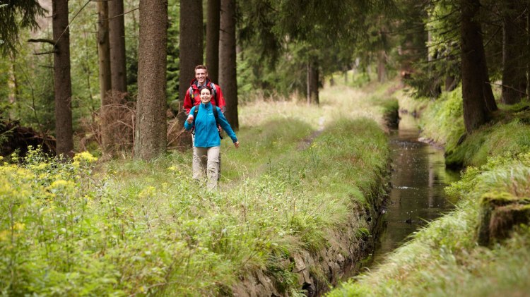 Vandforsyningssystemet ”Oberharzer Wasserwirtschaft”, © Harzer Tourismusverband / M. Gloger