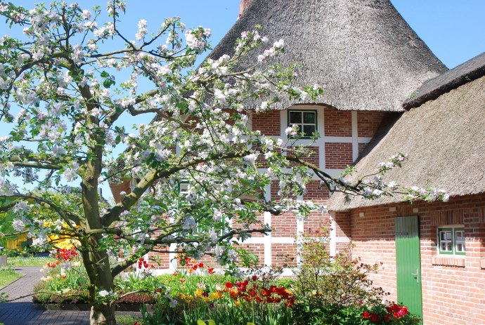 Thatched hus i Cuxland, © Cuxland-Tourismus / Bernd Schlüsselburg