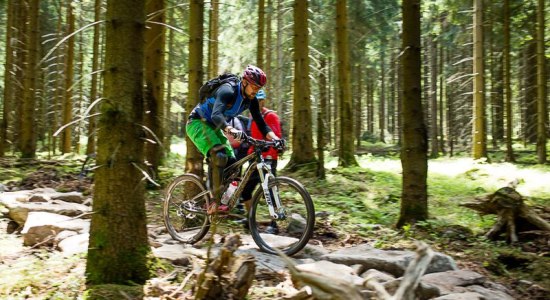 Mountainbiker ride over et vanskeligt spor i Hahnenklee Bike Park, © Board 'n Bikes