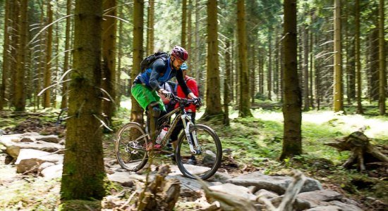 Mountainbiker ride over et vanskeligt spor i Hahnenklee Bike Park, © Board 'n Bikes Mountainbiker ride over et vanskeligt spor i Hahnenklee Bike Park, © Board 'n Bikes