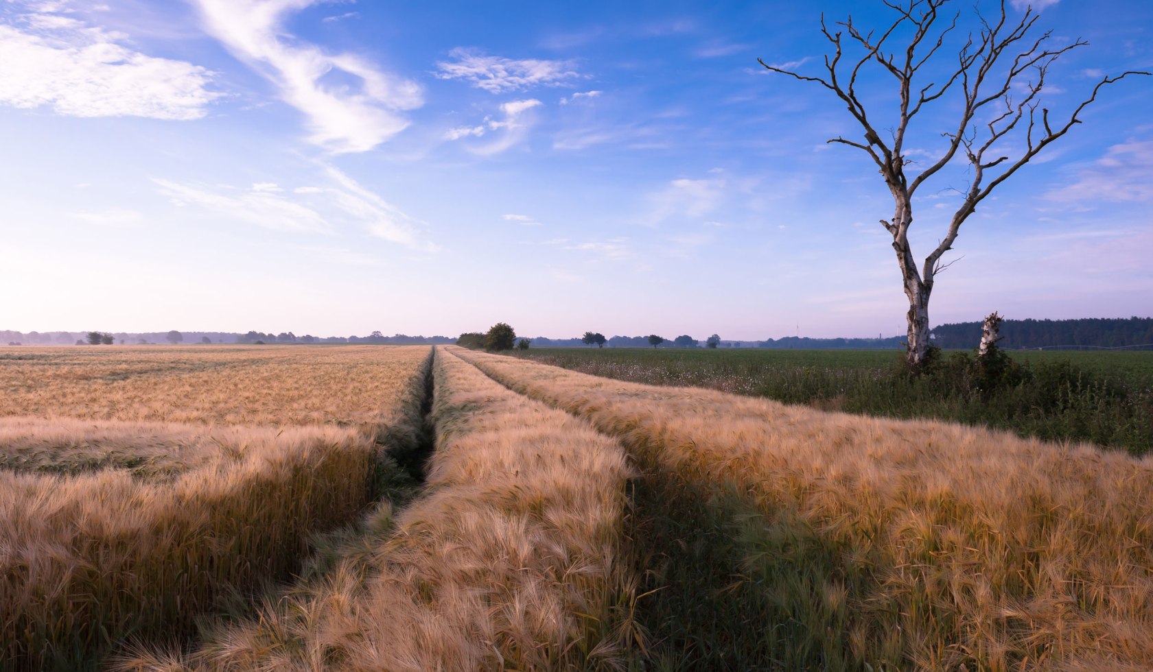 Vis over felter, © Lüneburger Heide GmbH/ Markus Tiemann