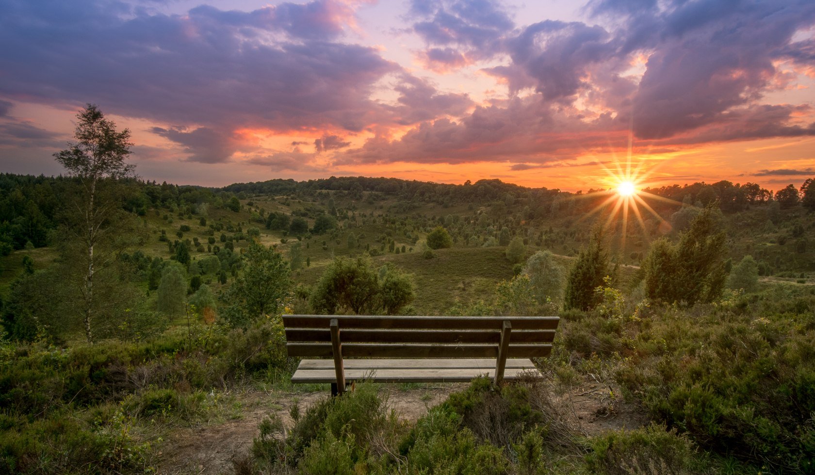 Udsigt over jorden af de døde i solnedgangen i Lüneburg Heath, © TMN/Alexander Kaßner