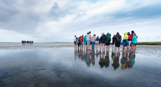 Gruppen vandrer i watt , © Kurverwaltung Wangerooge / Kees van Surksum