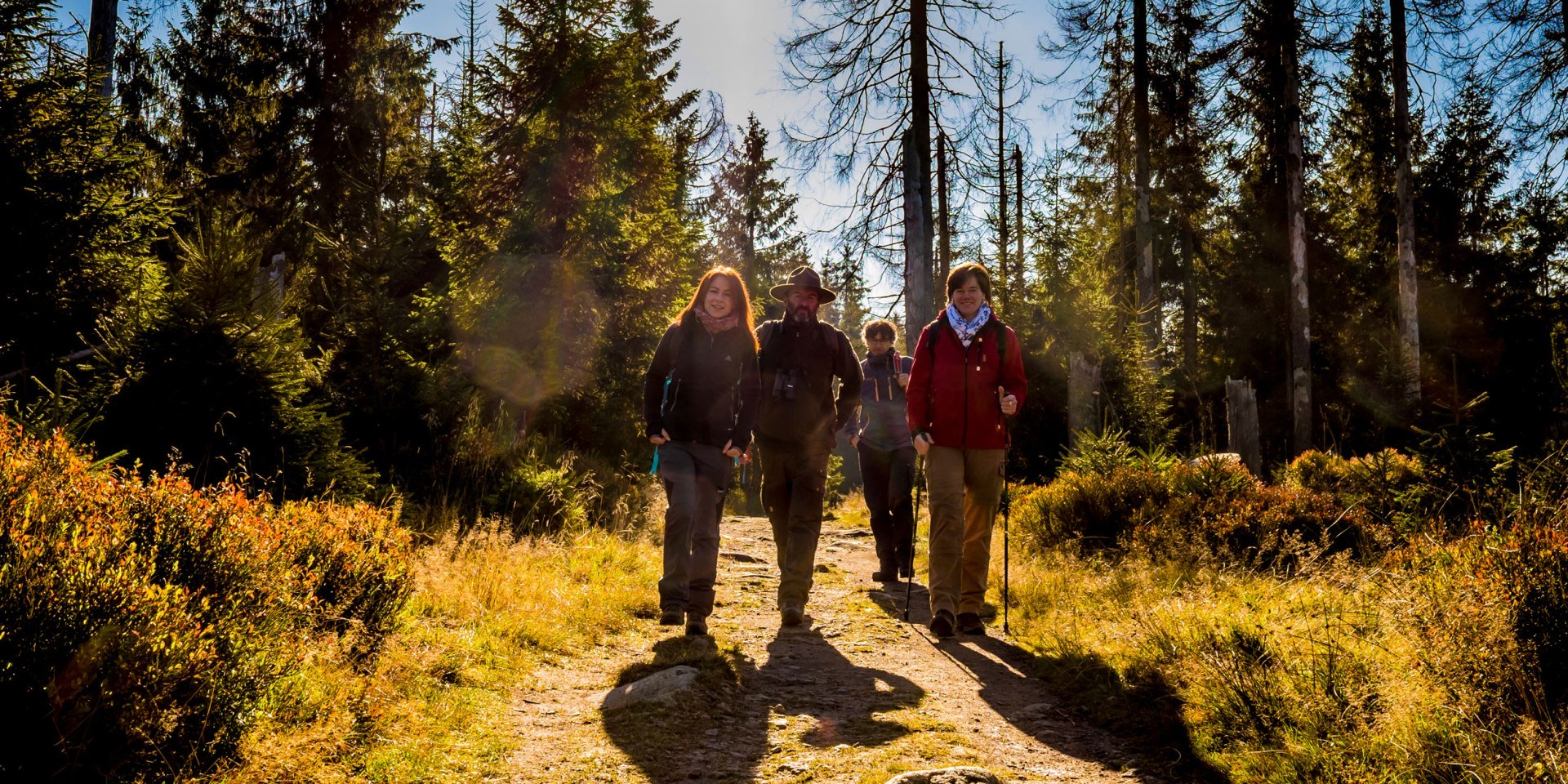 Ranger guidet tur, © Nationalpark Harz / dietrichkuehne.com