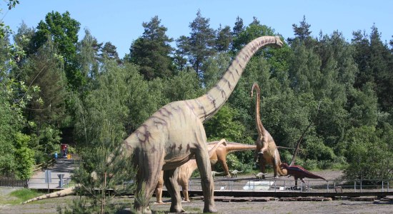 Indtryk Dinosaurier-Park Münchehagen, © Dinosaurier-Park Münchehagen GmbH & Co.KG