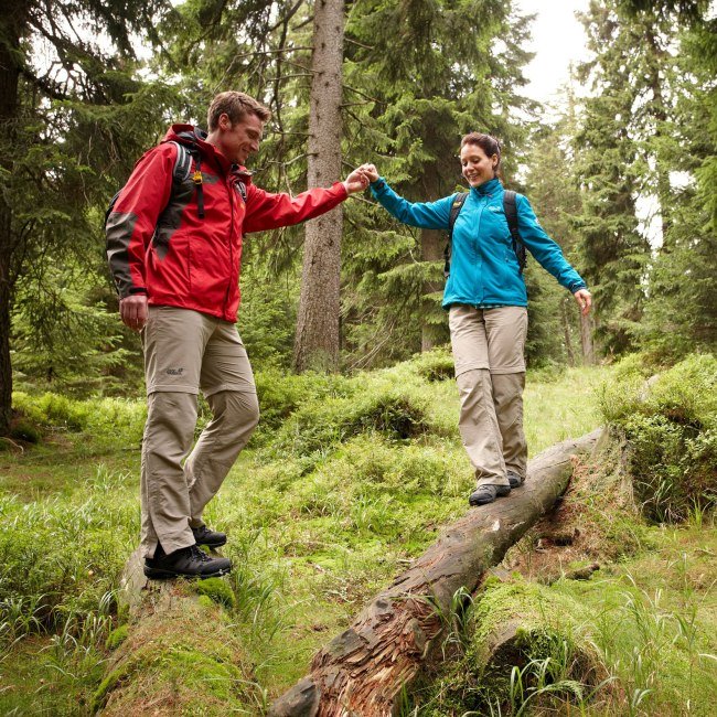 Vandreture par i Harz 