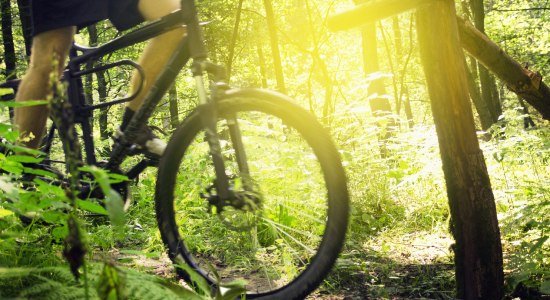 Forhjul på en mountainbike i baglygten, © Fotolia / lassedesignen