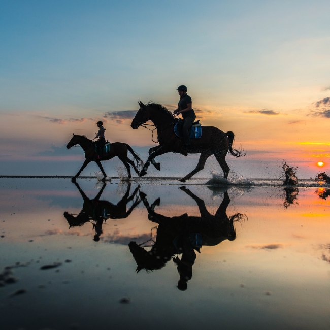 Ridning i Cuxhaven, © Nordseeheilbad Cuxhaven GmbH