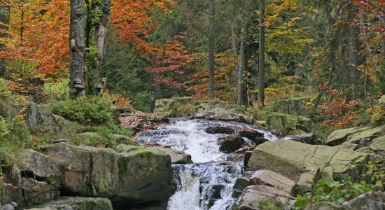  Bode floden nær Braunlage, © Nationalpark Harz / Siegfried Richter