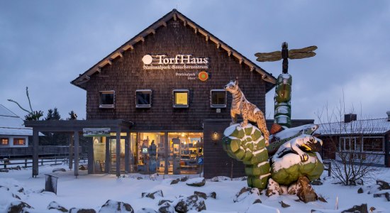 Udsigt over indgangen til besøgscentret Torhaus Harz Nationalpark, © TourismusMarketing Niedersachsen GmbH/Andreas Burmann