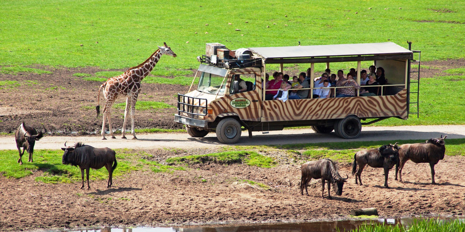 Jungle-Safari, © Serengeti-Park Hodenhagen GmbH