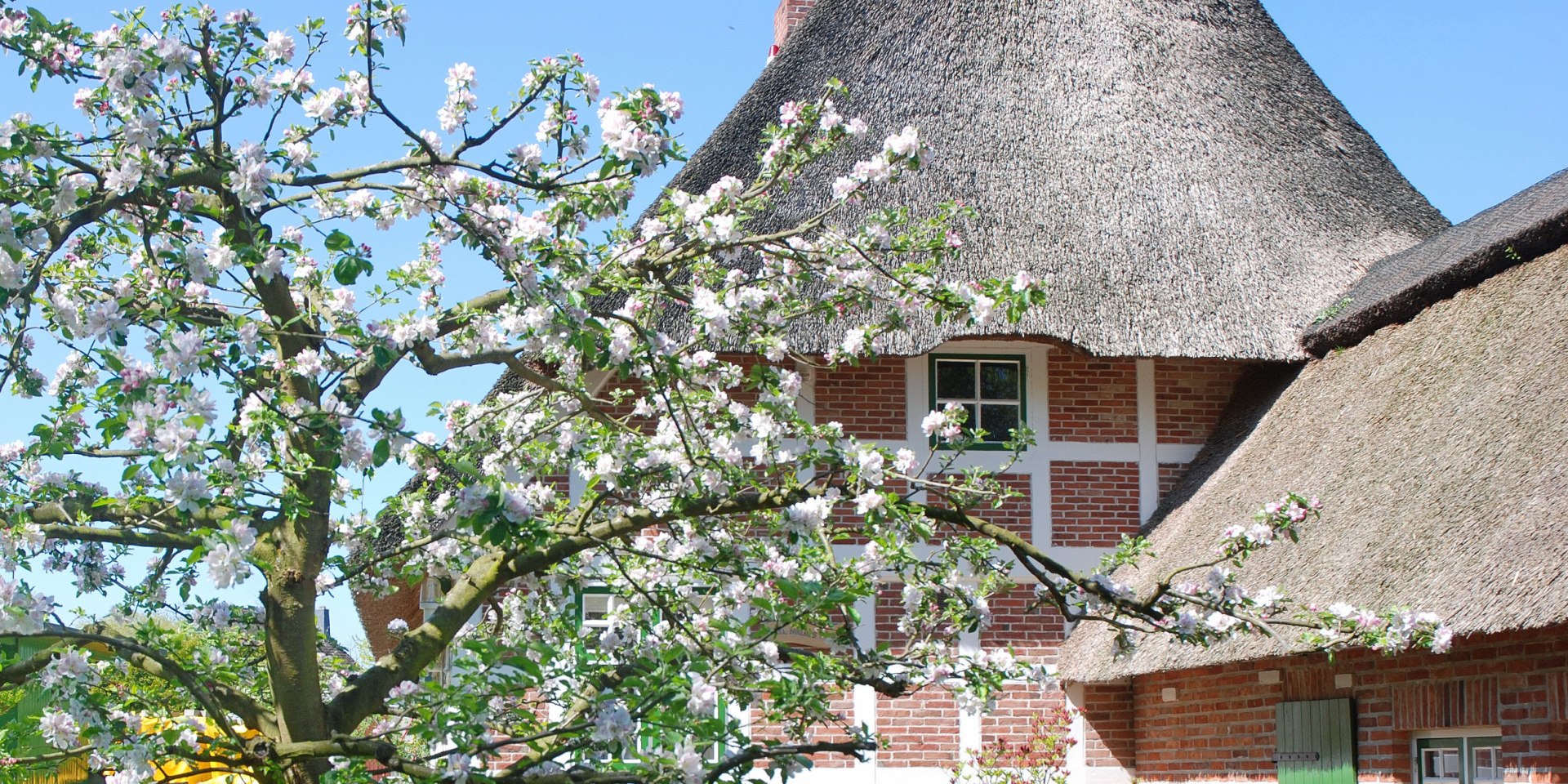 Thatched hus i Cuxland, © Cuxland-Tourismus / Bernd Schlüsselburg