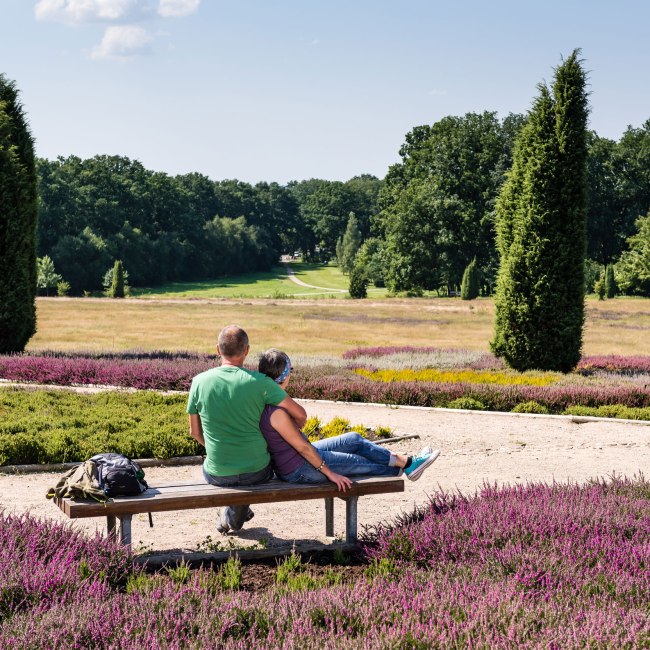 Heidegarten von Schneverdingen, © Erlebniswelt Lüneburger Heide / Markus Tiemann