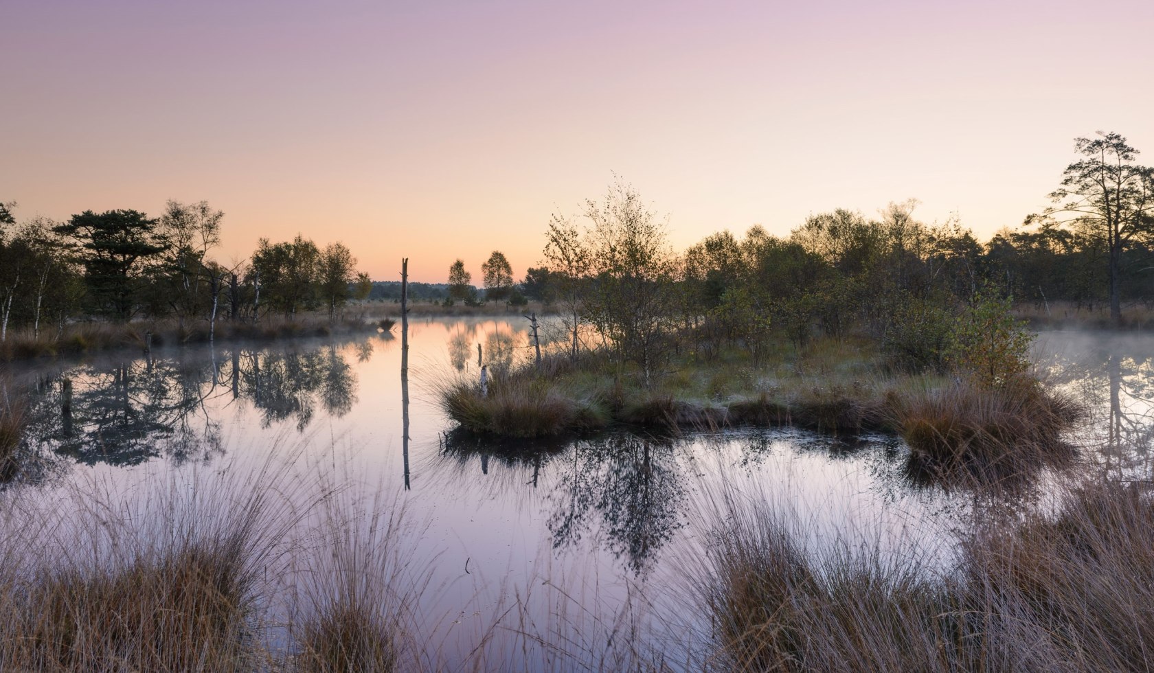 Pietzmoor nær Schneverdingen i Lüneburg Hede i morgenlyset, © Bildagentur Huber/Andreas Keil