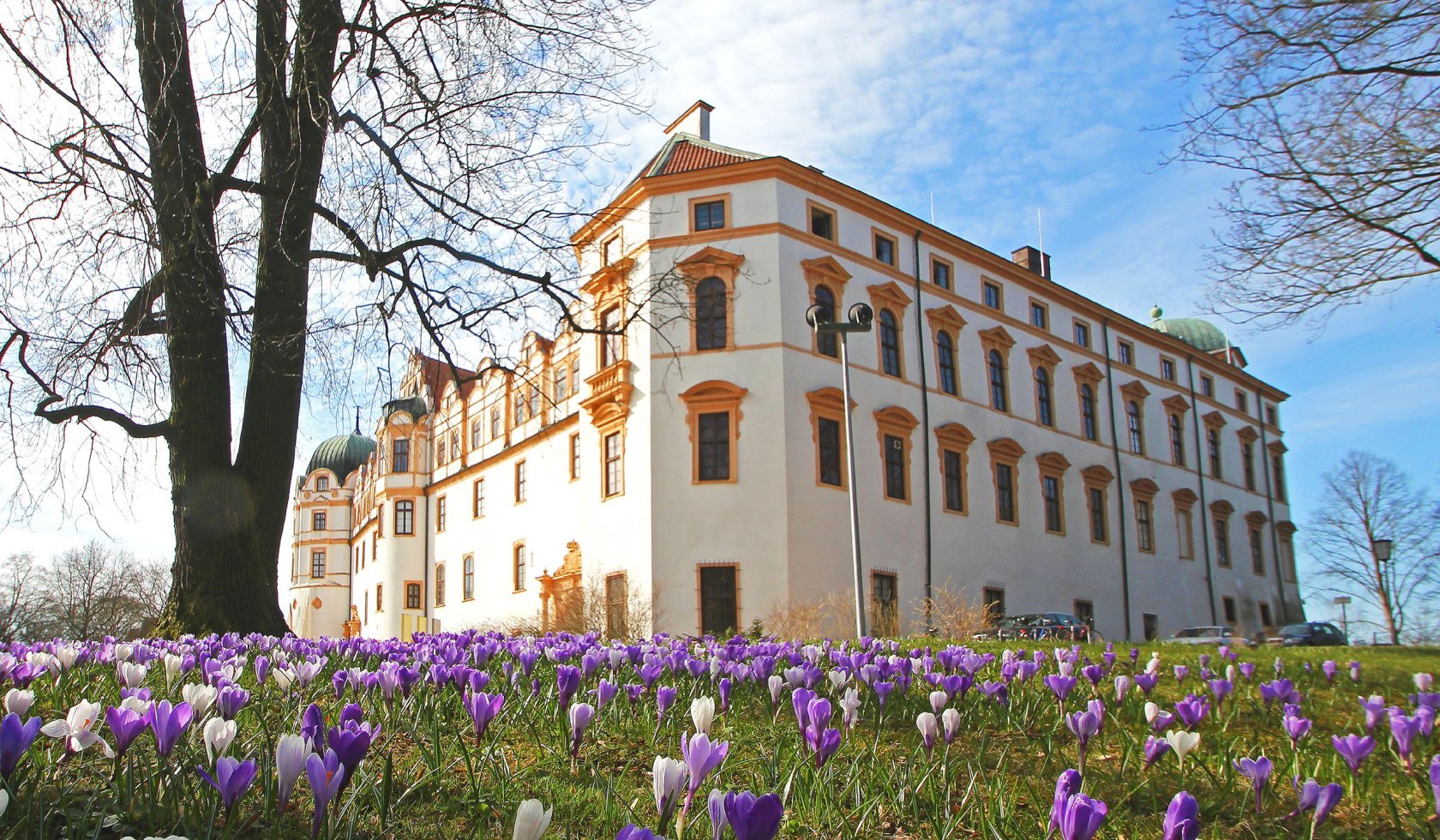 Celler Slot, © Celle Tourismus und Marketing GmbH / K. Behre