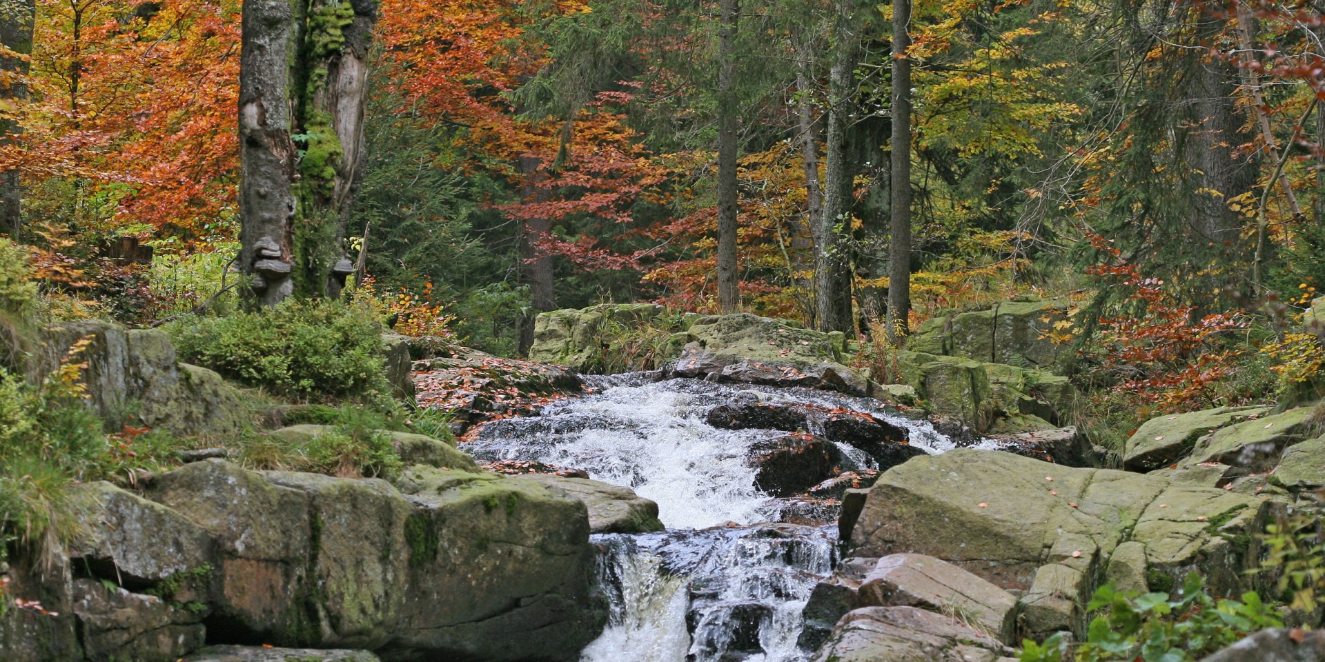  Bode floden nær Braunlage, © Nationalpark Harz / Siegfried Richter