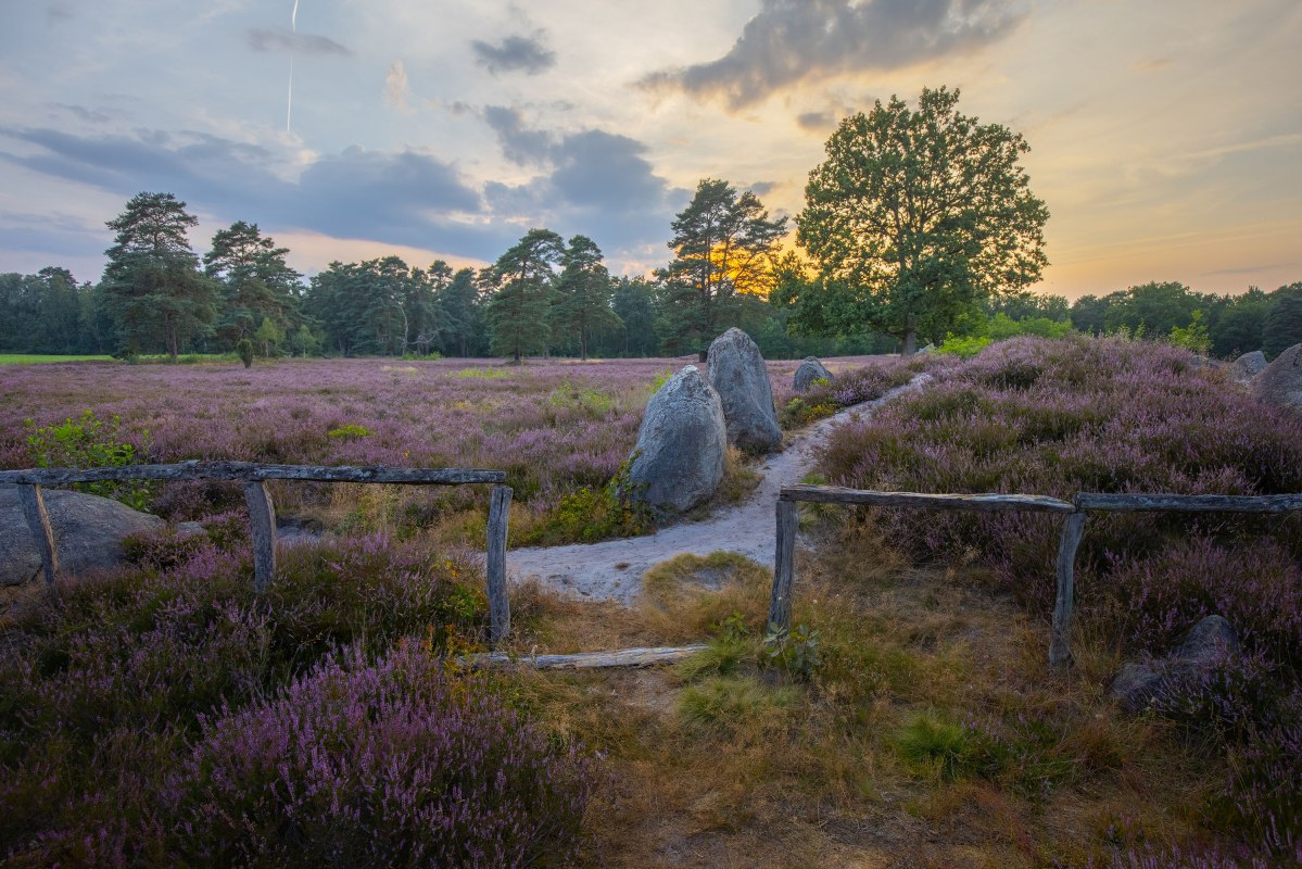 Oldendorf mindesmærke, © LÜNEBURGER HEIDE GMBH / A. Kaßner Oldendorf mindesmærke, © LÜNEBURGER HEIDE GMBH / A. Kaßner