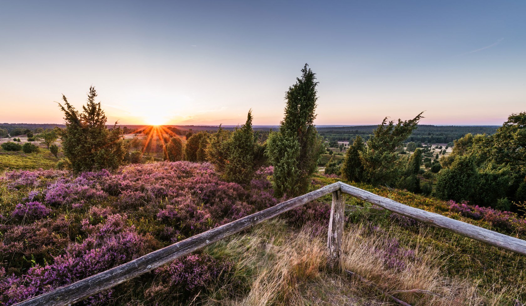 Wilseder Berg, © Lüneburger Heide GmbH/ Markus Tiemann