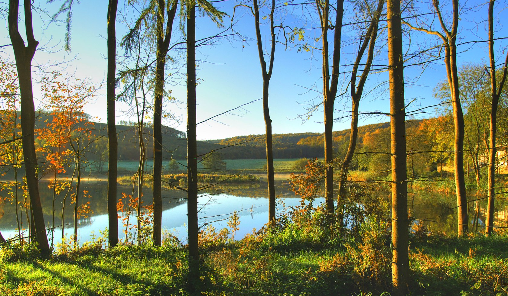 Efterårsstemning i Reitlingstal, © Naturpark Elm-Lappwald/ Ulrich Scheithauer